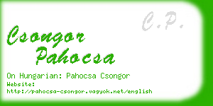 csongor pahocsa business card